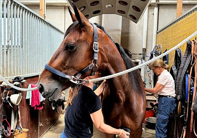 2024 06 08 Avenches Frontag IMG 2478