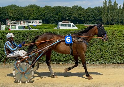 2024 06 28 Avenches IMG 3361 Midnight