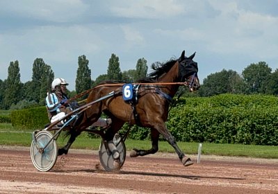 2024 06 28 Avenches IMG 3372 Midnight