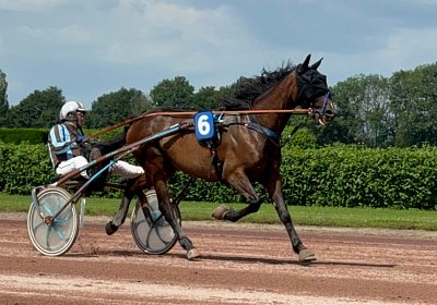 2024 06 28 Avenches IMG 3374 Midnight