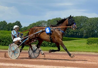 2024 06 28 Avenches IMG 3376 Midnight