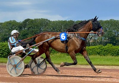 2024 06 28 Avenches IMG 3378 Midnight