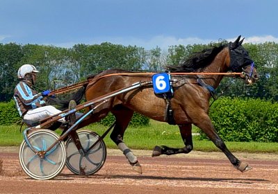 2024 06 28 Avenches IMG 3380 Midnight