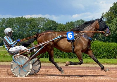 2024 06 28 Avenches IMG 3382 Midnight