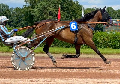 2024 06 28 Avenches IMG 3384 Midnight