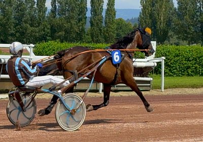 2024 06 28 Avenches IMG 3389 Midnight