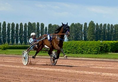 2024 06 28 Avenches IMG 3392 Midnight