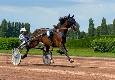 2024 06 28 Avenches IMG 3396 Midnight