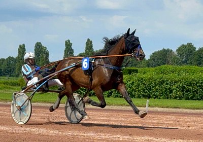 2024 06 28 Avenches IMG 3397 Midnight