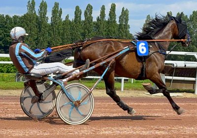 2024 06 28 Avenches IMG 3408 Midnight