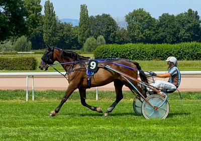 2024 07 30 Av IMG 6209 Midnight