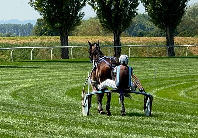 2024 07 30 Av IMG 6211 Midnight