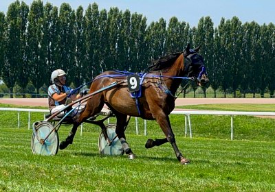 2024 07 30 Av IMG 6218 Midnight