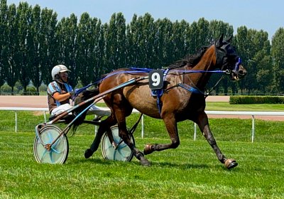 2024 07 30 Av IMG 6220 Midnight