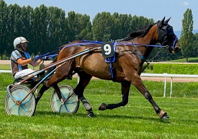 2024 07 30 Av IMG 6222 Midnight