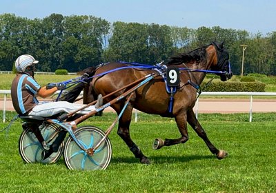 2024 07 30 Av IMG 6232 Midnight