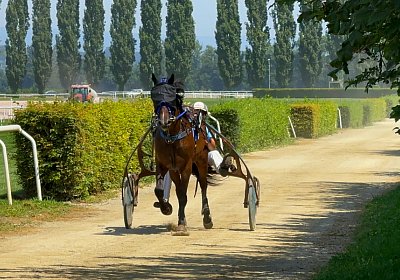 2024 07 30 Av IMG 6237 Midnight