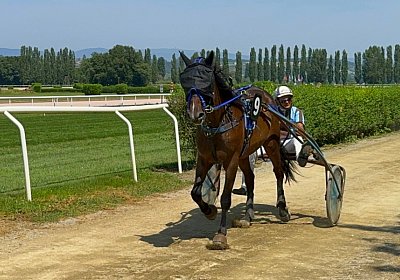 2024 07 30 Av IMG 6240 Midnight