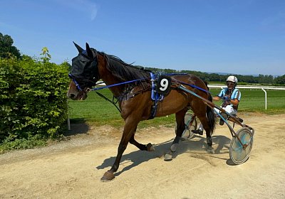 2024 07 30 Av IMG 6242 Midnight