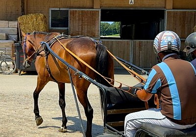 2024 07 30 Av IMG 6249 Ina