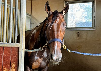 2024 07 30 Av IMG 6251 Midnight