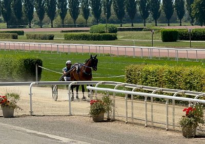 2024 07 30 Av IMG 6257 Midnight