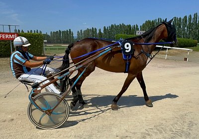 2024 07 30 Av IMG 6263 Midnight