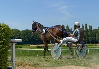 2024 07 30 Av IMG 6273 Midnight