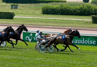 2024 07 30 Av K IMG 6350 Ina