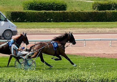 2024 07 30 Av K IMG 6357 Ina