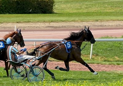 2024 07 30 Av K IMG 6359 Ina