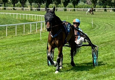 2024 07 30 Av K IMG 6393 Ina