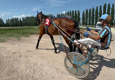 2024 07 30 Av L IMG 6412 Noon