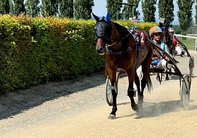 2024 07 30 Av L IMG 6455 Noon