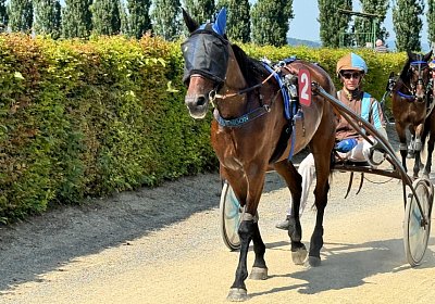 2024 07 30 Av L IMG 6456 Noon