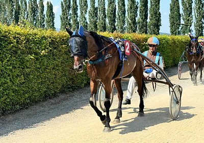 2024 07 30 Av L IMG 6458 Noon