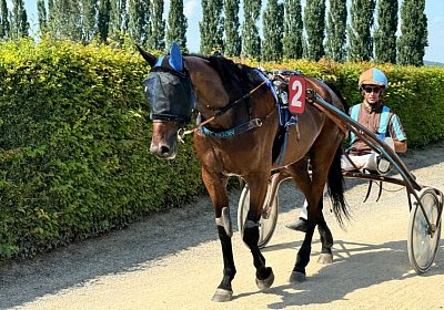 2024 07 30 Av L IMG 6459 Noon