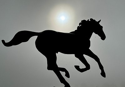 2024 09 22 Dielsdorf IMG 0730