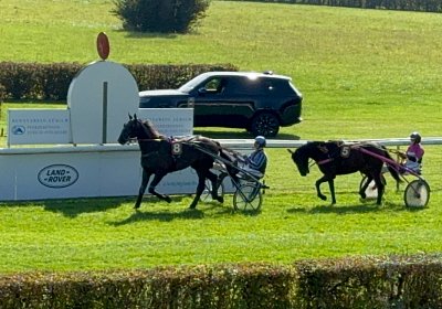 2024 09 22 Dielsdorf IMG 0748 Jack