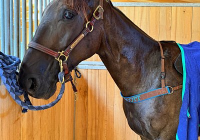 2024 09 22 Dielsdorf IMG 0763 Jack