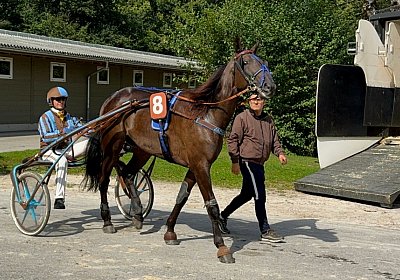 2024 09 22 Dielsdorf IMG 0779 Jack