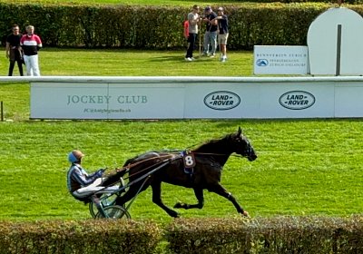 2024 09 22 Dielsdorf IMG 0789 Jack