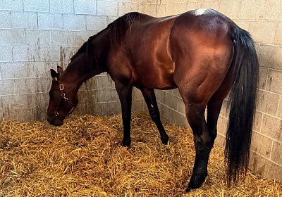 2024 09 25 Daglfing IMG 0907 Alcide