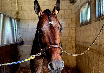 2024 09 25 Daglfing IMG 0961 Alcide