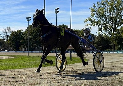 2024 09 25 Daglfing IMG 0968 King