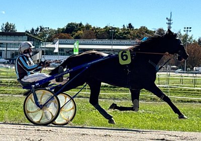 2024 09 25 Daglfing IMG 1006 King