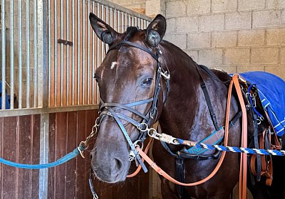 2024 09 25 Daglfing IMG 1017 King