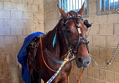 2024 09 25 Daglfing IMG 1018 Alcide