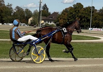 2024 09 25 Daglfing IMG 1054 Alcide