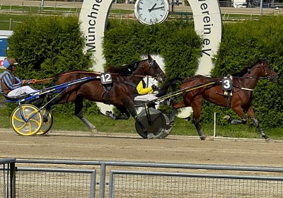 2024 09 25 Daglfing IMG 1086 Alcide